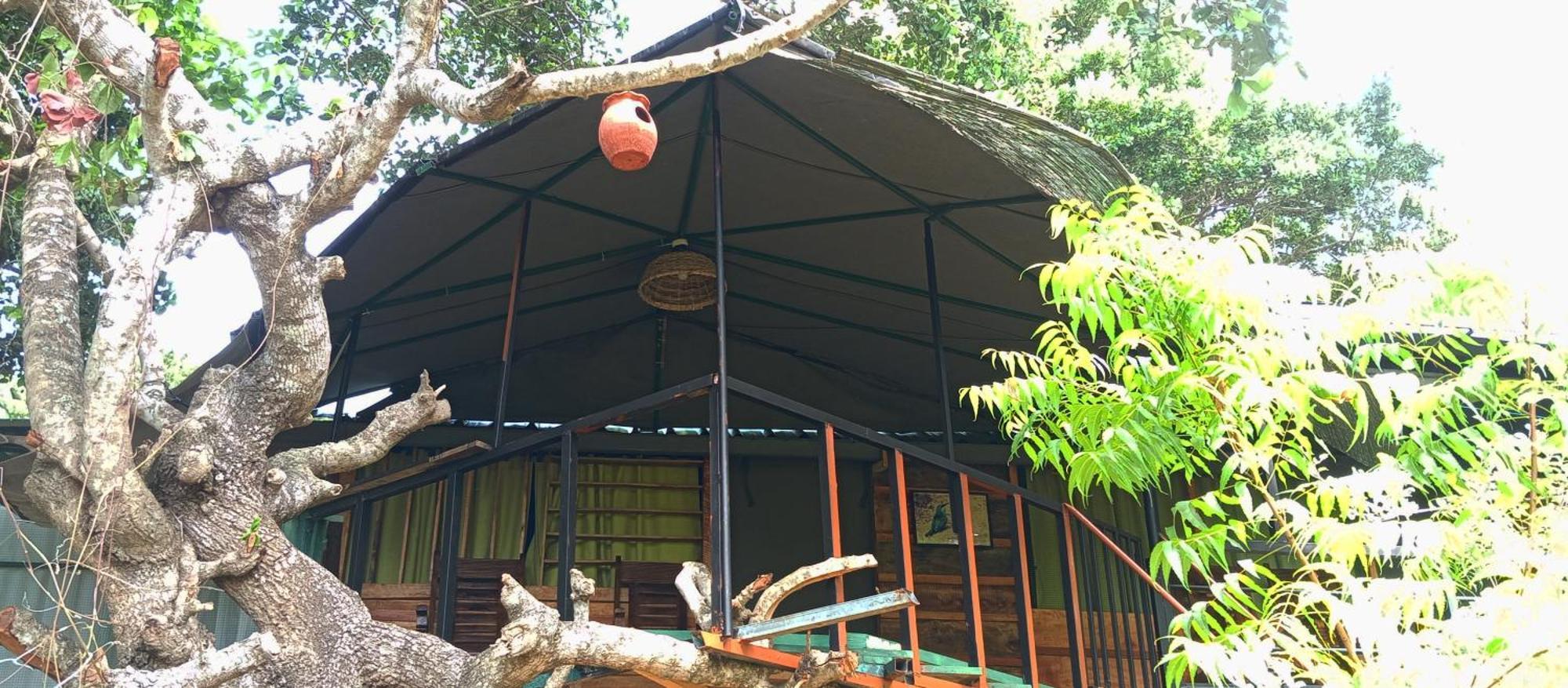 Jungle Cabin - Bundala Bundala Levagangoda Exterior foto